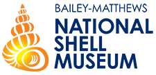 Baily-Matthews Shell Museum