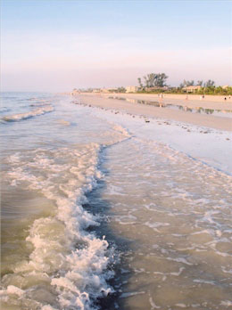 Seashells Beach