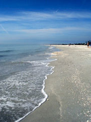 Sea Shells Beach